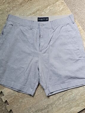 Abercrombie & Fitch Light Gray Men's Flat Front Shorts